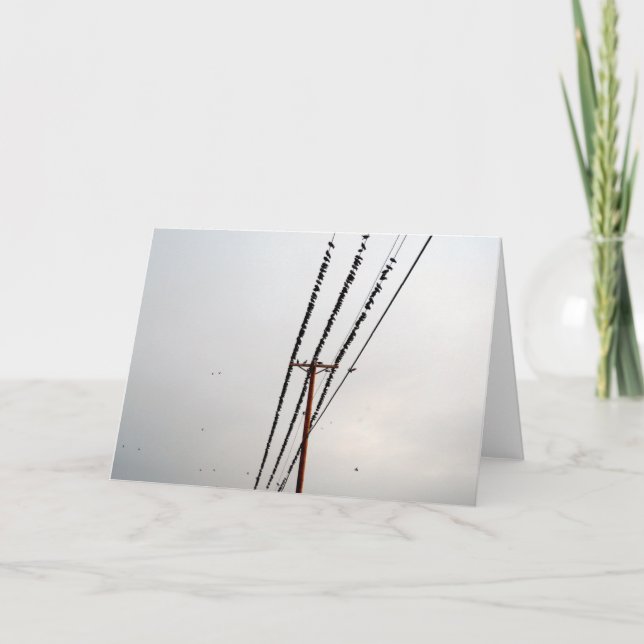 Cartão De Festividades Pássaros num fio (Frente)