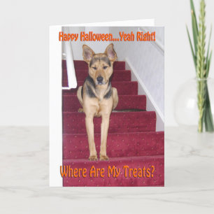 Cartão De Festividades Pastor Alemão Halloween Triste Sem Guloseimas
