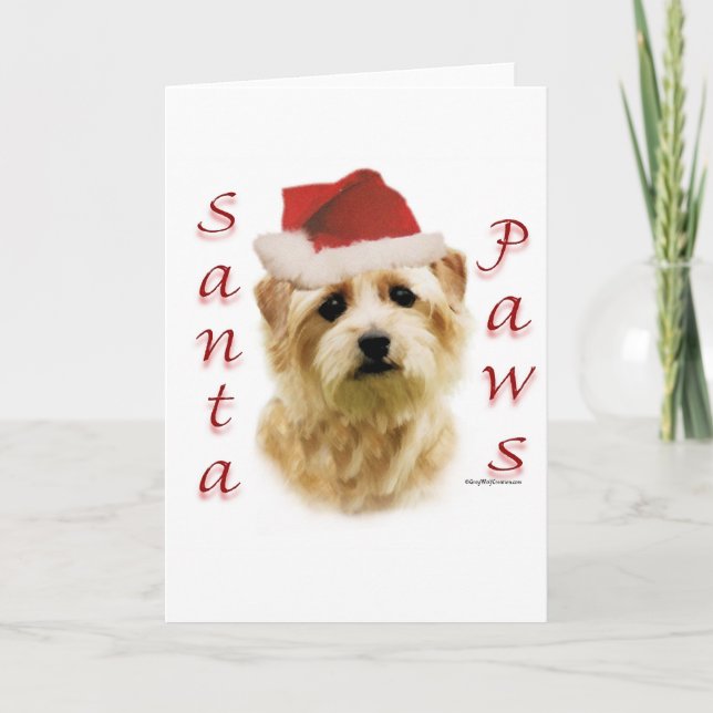 Cartão De Festividades Patas do papai noel de Norfolk Terrier (Frente)
