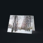 Cartão De Festividades Path and Trees in Snow Landscape Card<br><div class="desc">Path and Trees in a Snow Landscape Card. A snow covered rural landscape with path, trees and snow flakes falling.</div>
