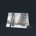 Cartão De Festividades Path and Trees in Snow Landscape Card<br><div class="desc">Path and Trees in a Snow Landscape Card. A snow covered rural landscape with path,  trees and snow flakes falling.</div>
