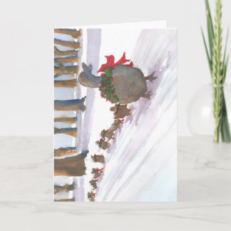 Cartão De Festividades patos em Boston comum durante os feriados de