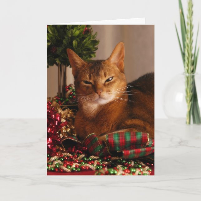 Cartão De Festividades Paws For The Holidays (Frente)