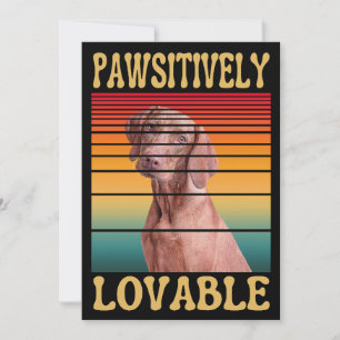 CARTÃO DE FESTIVIDADES PAWSITIVAMENTE AMÁVEL
