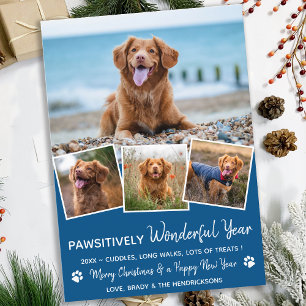 Cartão De Festividades Pawsitively Pet Year in Review Blue Dog Photo