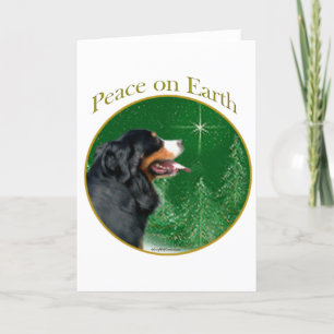 Cartão De Festividades Paz de Cão das Montanhas Bernês