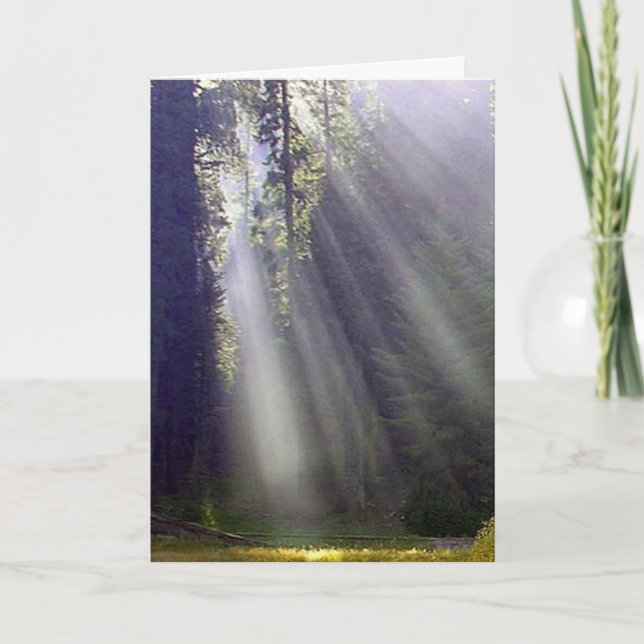 Cartão De Festividades Paz e alegria (Frente)