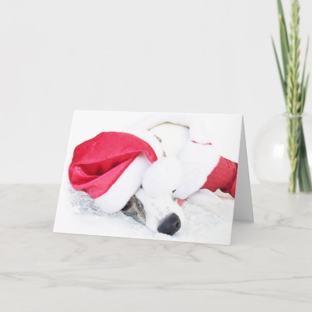 Cartão De Festividades Paz e biscoitos de Ryder (Frente)