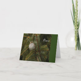 Cartão De Festividades Peace Holiday Card