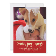 Peace Joy Wags | Your Dog's Christmas Photo