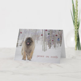 Cartão De Festividades Peace Leonberger Christmas Card