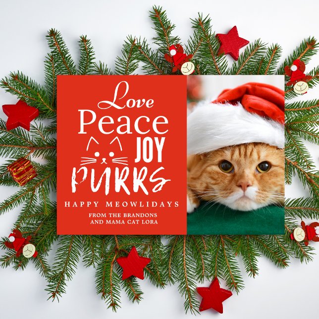 Cartão De Festividades Peace Love Joy Purrs Cat Lover Photo Funny Pet (Criador carregado)