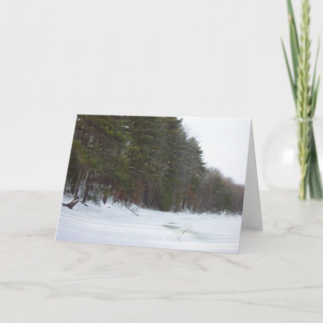 Cartão De Festividades Peace on Earth (Frente)