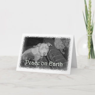 Cartão De Festividades Peace on Earth Christmas card (Pit Bull)