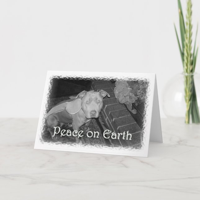 Cartão De Festividades Peace on Earth Pit Bull Christmas Card (Frente)