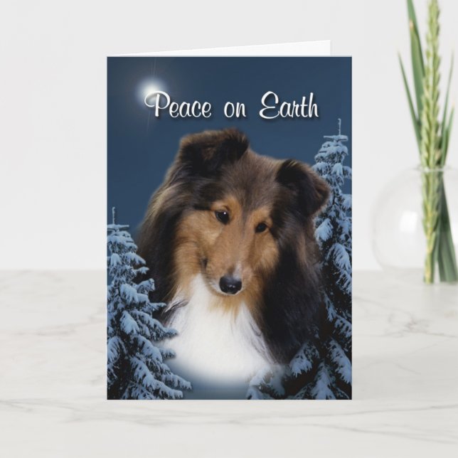 Cartão De Festividades Peace Sheltie Xmas Card (Frente)