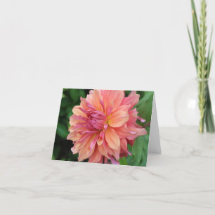 Cartão De Festividades Peach Garden Dahlia