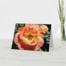 Cartão De Festividades Peach Rose