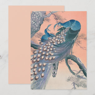 Cartão De Festividades Peacocks Azul