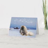 Pekingese Ó Santa Noite