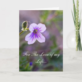 Cartão De Festividades Pelo amor de minha vida