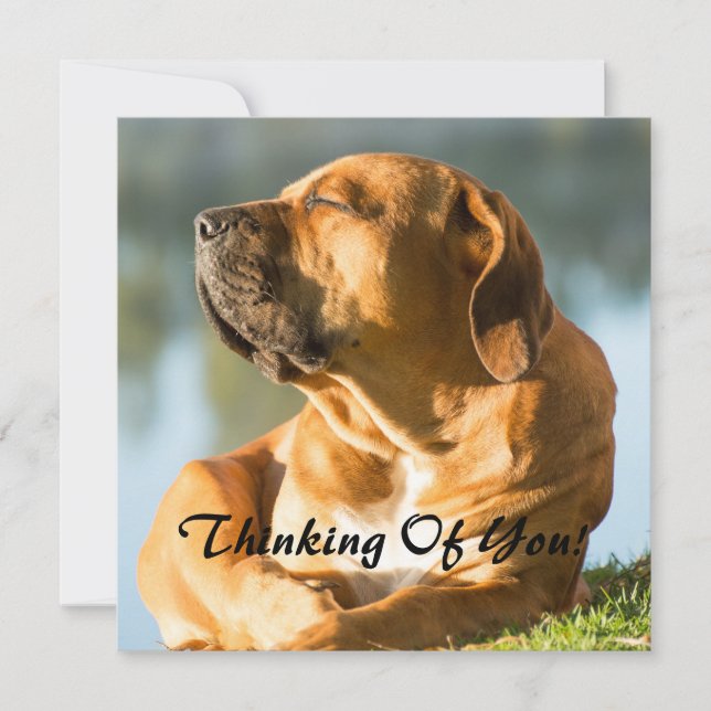 Cartão De Festividades Pensando em você (Frente)