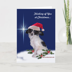 Cartão De Festividades "Pensando em você no Natal" Papillon Card