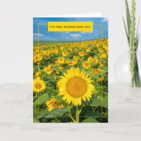 Pensando em você por qualquer um belo girassol