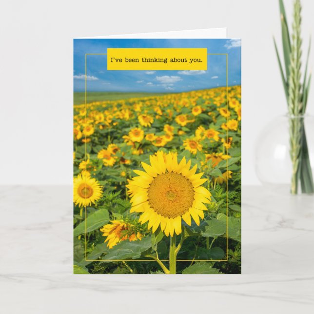 Cartão De Festividades Pensando em você por qualquer um belo girassol (Frente)