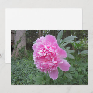 Cartão De Festividades Peony Flat Holiday Card