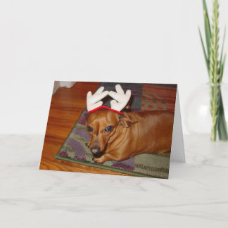 Cartão De Festividades Pequena Reindeer