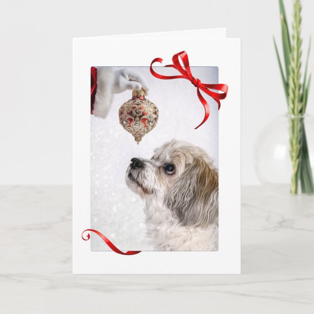 Cartão De Festividades Pequeno e Papais noeis (Frente)