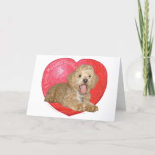 Cartão De Festividades Pequinês / Poodle Mix Dia dos Namorados