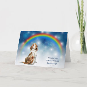 Cartão De Festividades Perda de cão Basset Hound Noite Arco-íris de Pesar