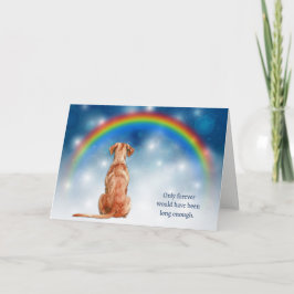 Cartão De Festividades Perda de Luzes Noturnas do Cão Vizsla Simpatia