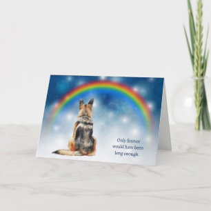Cartão De Festividades Perda de simpatia de luzes noturnas de cão pastor