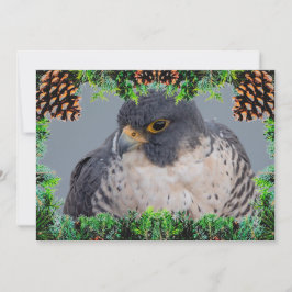 Cartão De Festividades Peregrine Falcon Christmas Card by Debbie Quick