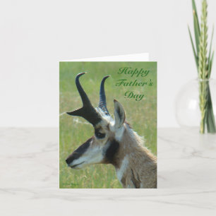 Cartão De Festividades Perfil de Cabeça de Grande Antílope Bighorn A47
