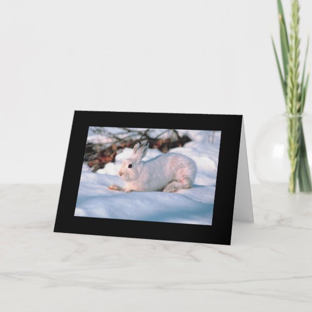 Cartão De Festividades Personalizable Holiday Card White Bunny (Frente)