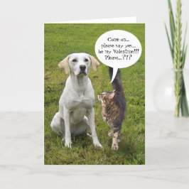 Cartão De Festividades (Personalizável) Namorados Cat & Dog