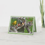 Cartão De Festividades Personalized North America Birds Birthday Card<br><div class="desc">Beautiful photographs of a Yellow Warbler,  Chipping Sparrow,  and American Redstart Birds.</div>