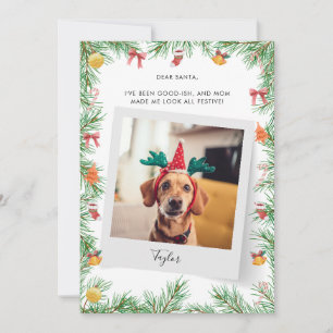 Cartão De Festividades Pet Dog Photo Naughto ou Nice Custom Christmas