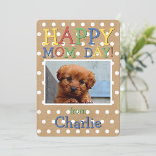 Cartão De Festividades Pet Foto Personalizada No Padrão Do Windows Diver