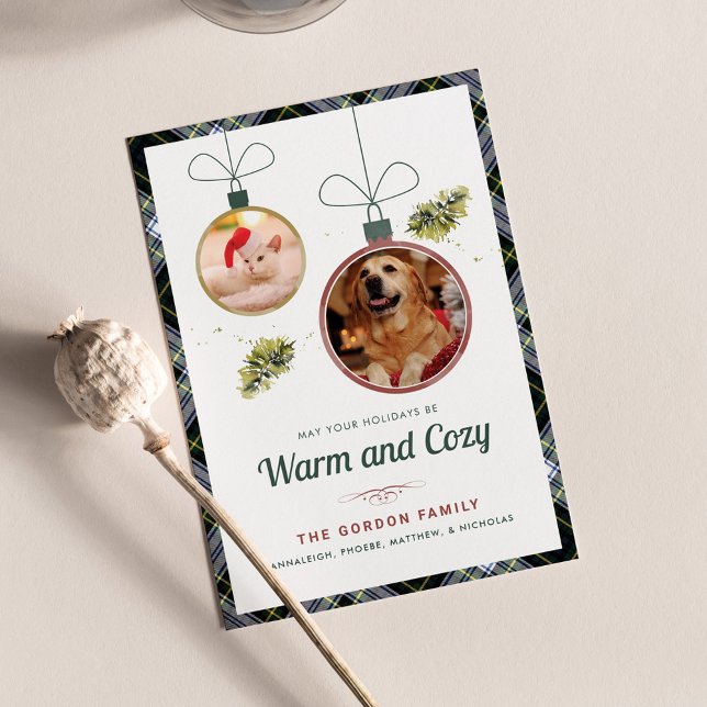 Cartão De Festividades Pet Fotografias de Natal da Família xadrez Gordon  (Warm and Cozy Pet Photos Plaid Gordon Tartan Christmas Greetings)