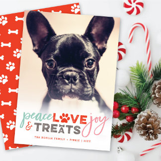 Cartão De Festividades Pet Fotográfico Colorido de Amor de Paz Tenta o Ca