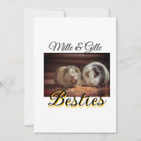 Pet Frities adiciona nome e foto animal amor