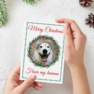 Cartão De Festividades Pet Photo Wreath de Natal