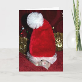Cartão De Festividades Pet Rat Holiday Greeting Card