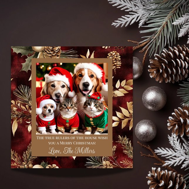Cartão De Festividades Pet Rulers da Casa Burgundy Dourado com Foto (Criador carregado)