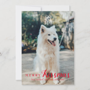 Cartão De Festividades Pet Themed Feliz Holiday Card in Red